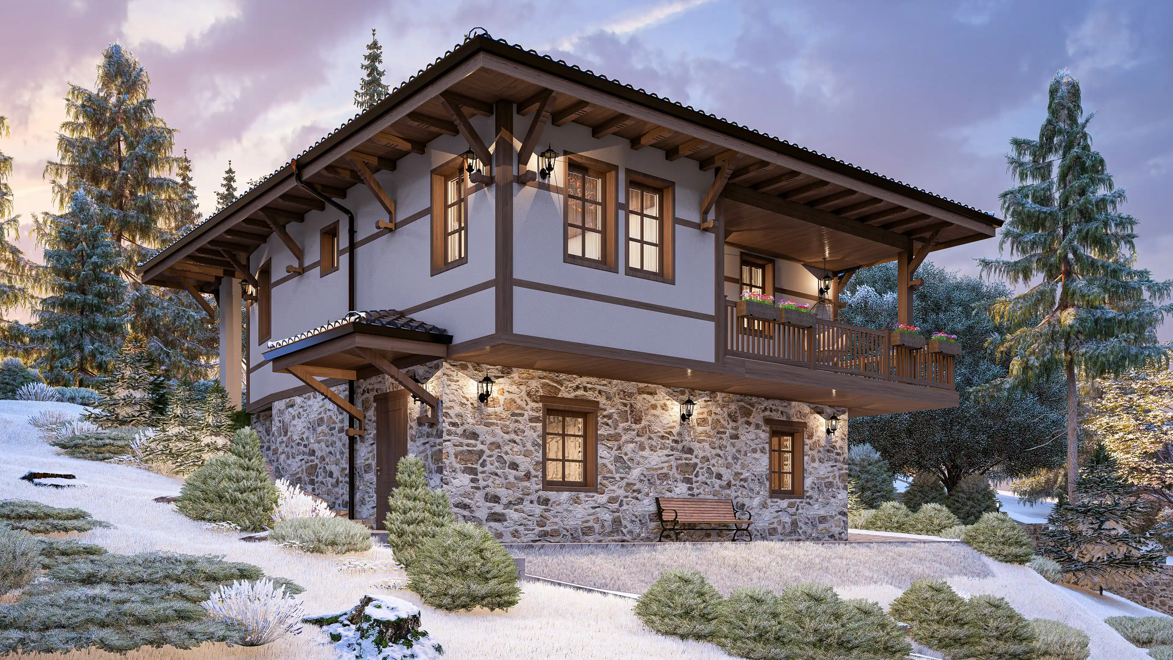 Проект снимка