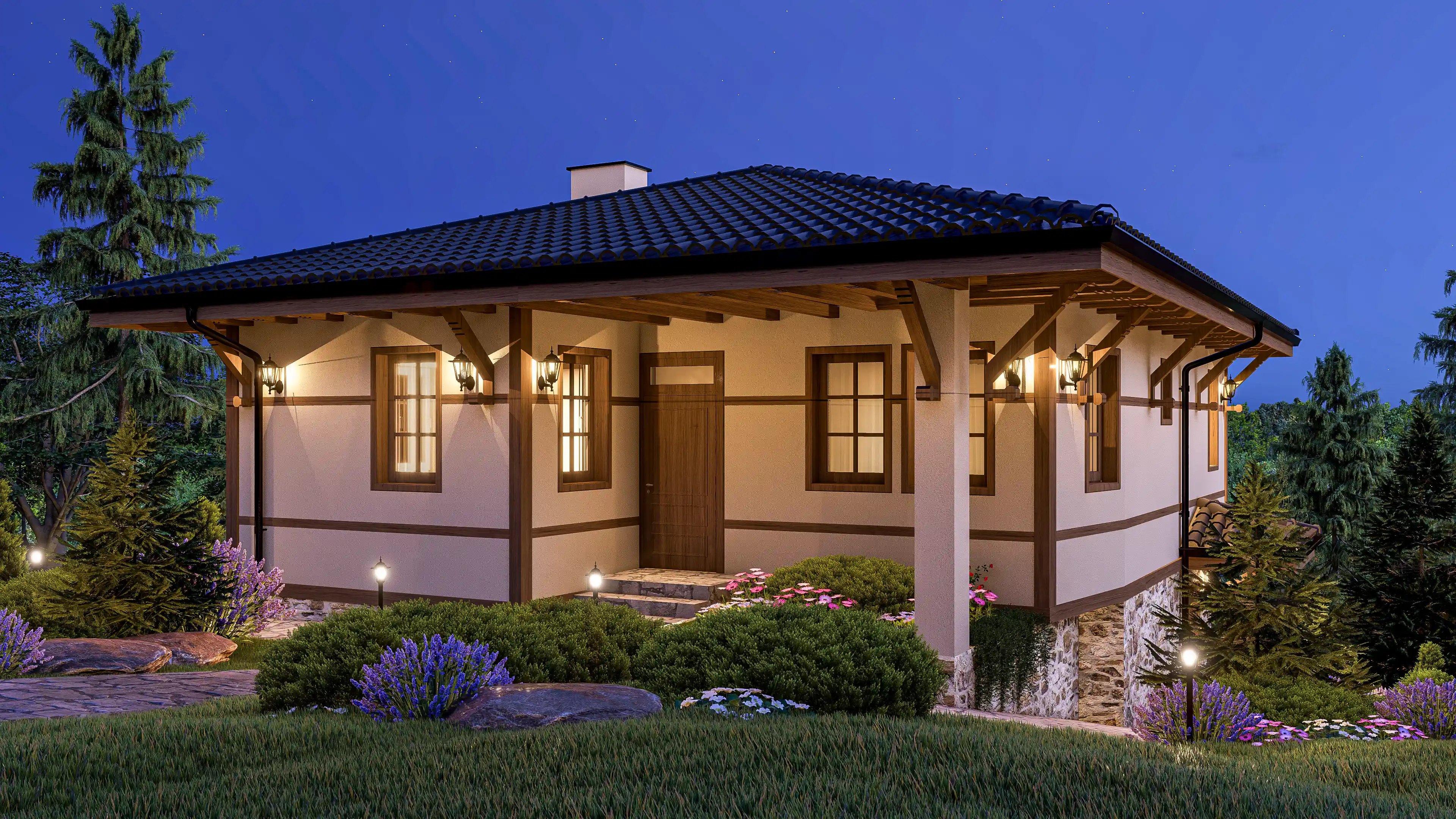 Проект снимка