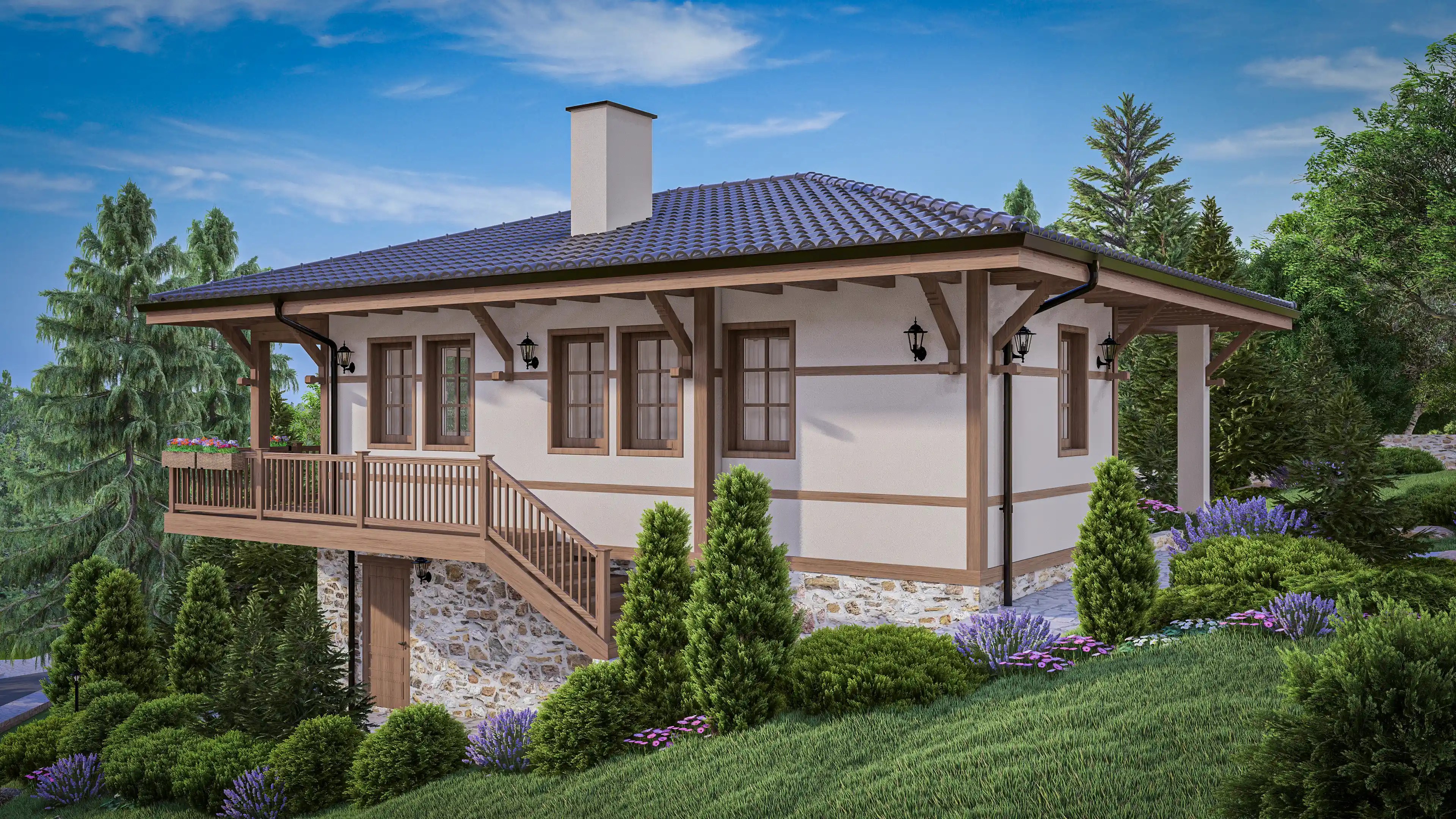 Проект снимка