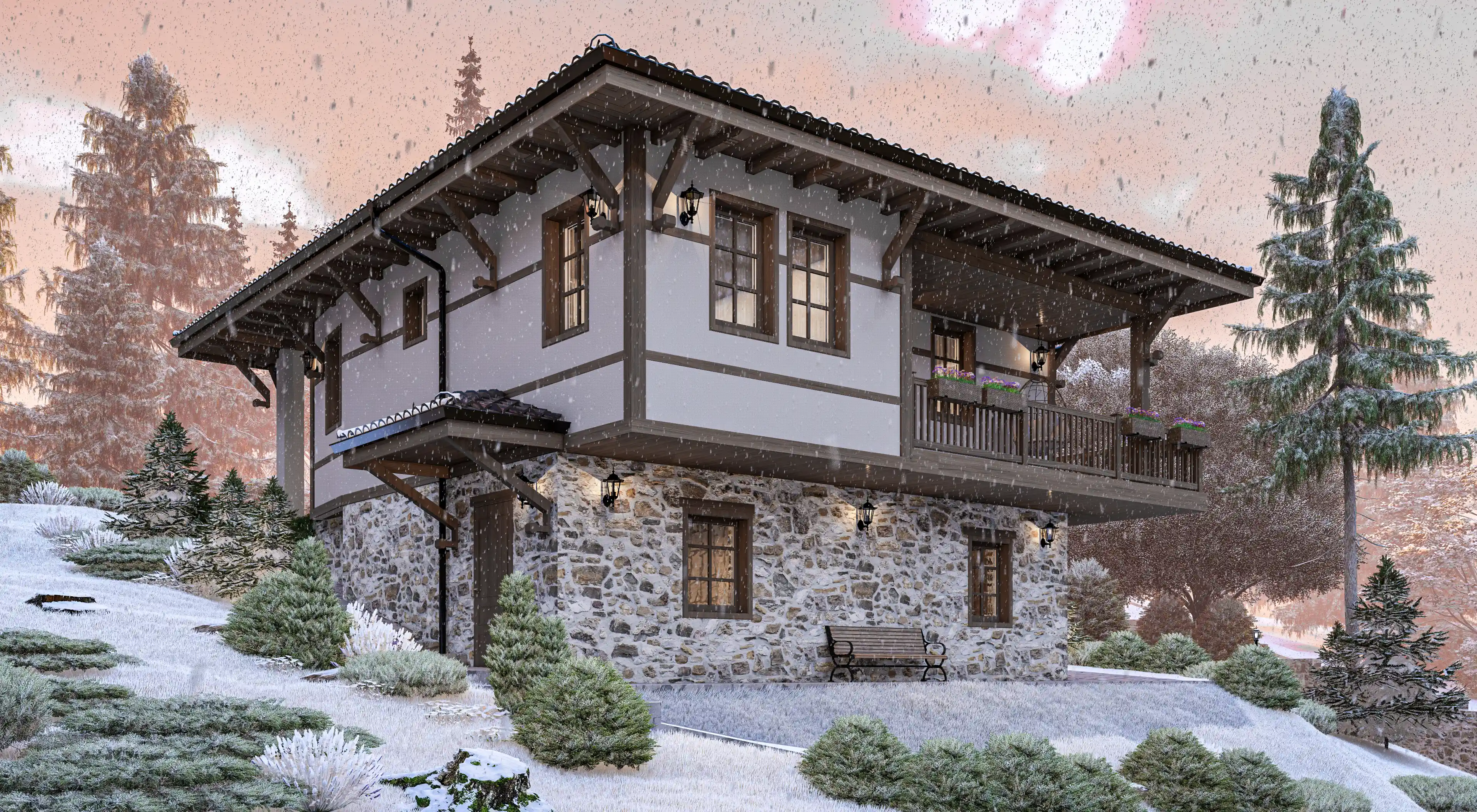 Проект снимка