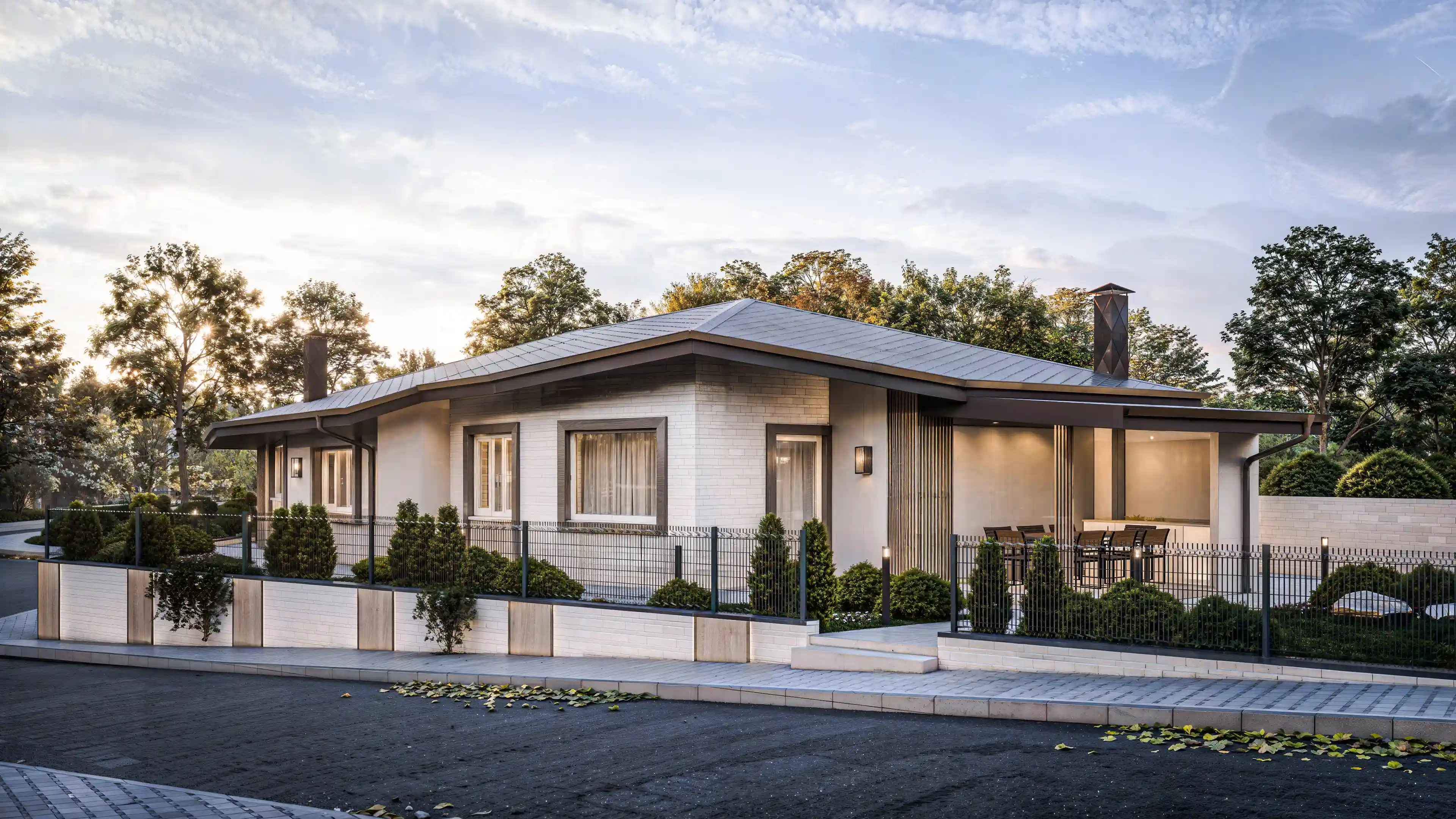 Проект снимка