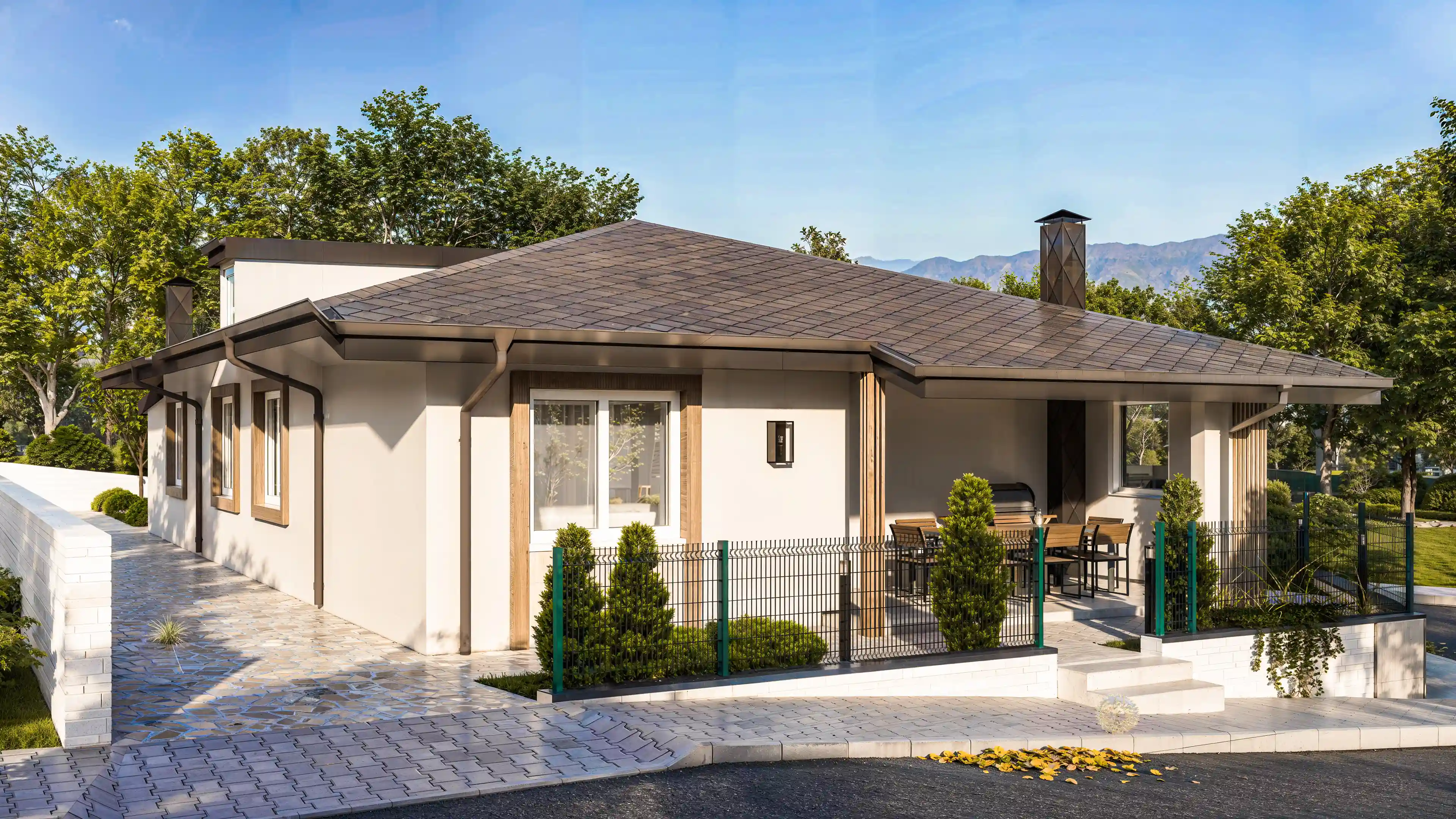 Проект снимка