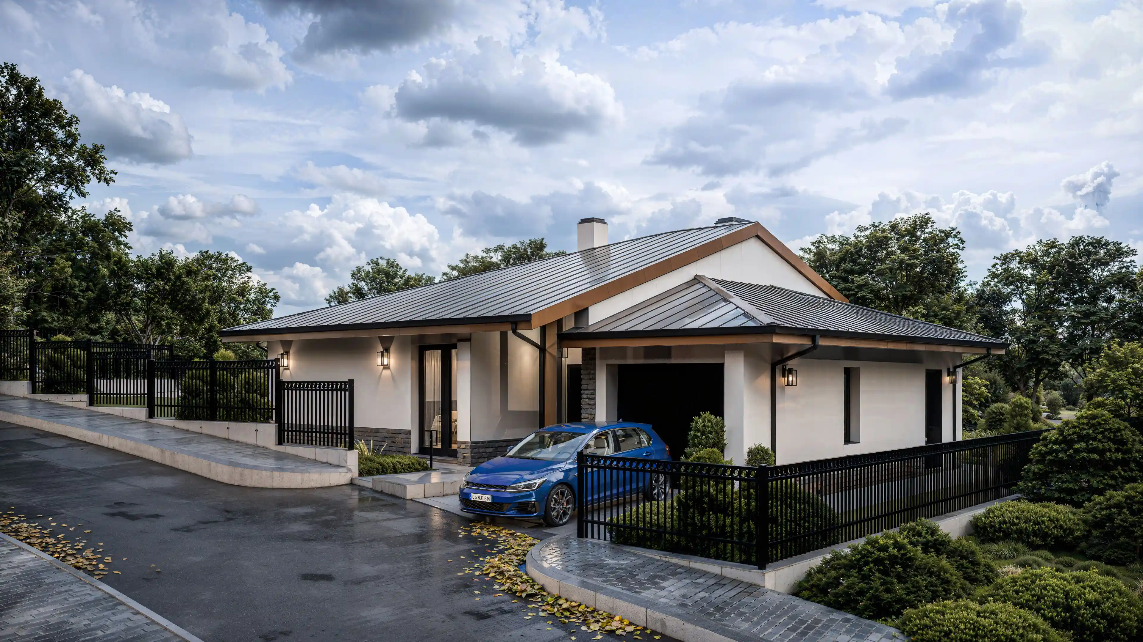 Проект снимка